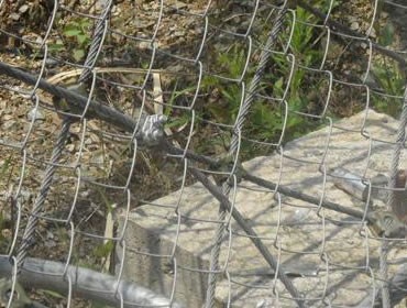 香蕉视频成人下载